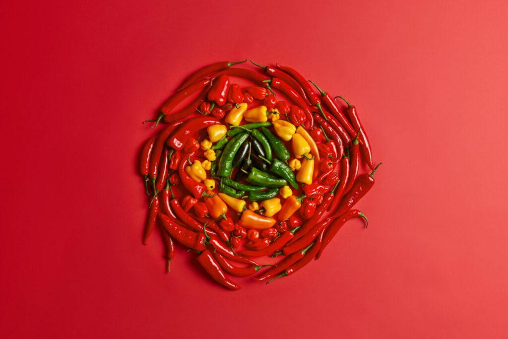 Red yellow and green pepper arranged in circle on red background. Colorful fresh vegetables. High angle view. Creative layout. Piquant seasoned hot chili. 