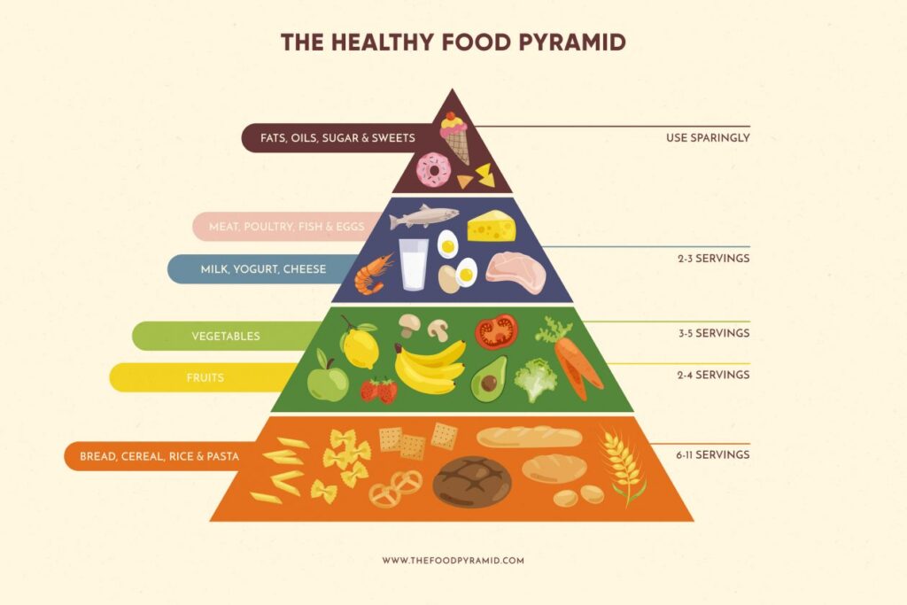 How to use food pyramid concept
