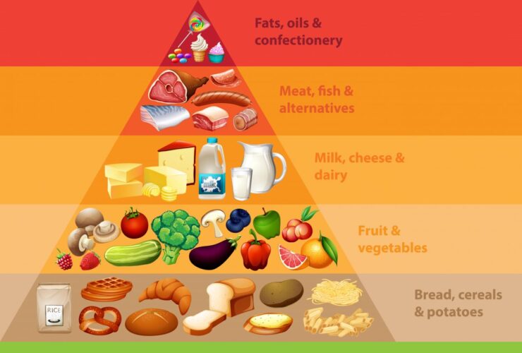 how does a food pyramid help individuals eat a healthy diet?