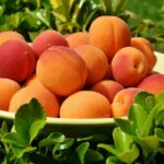 are peaches keto diet friendly