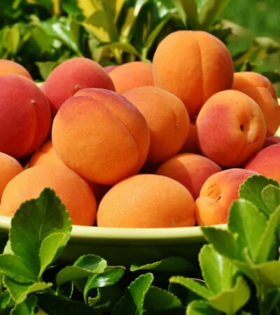 are peaches keto diet friendly