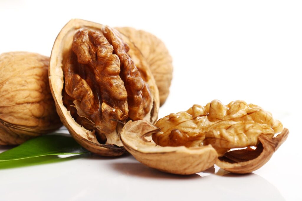 fresh walnut with leaves