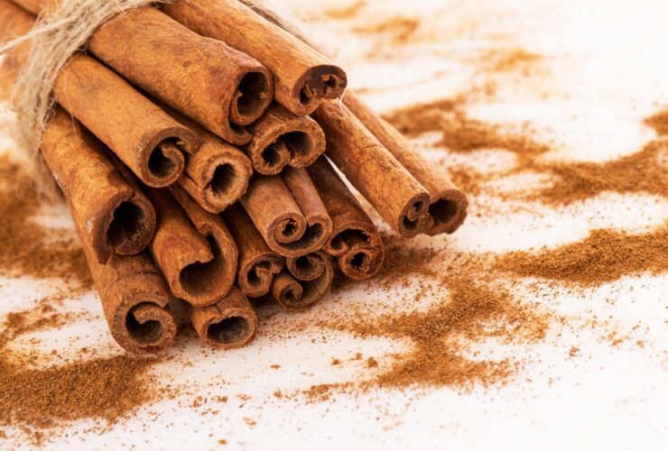 does cinnamon break ketosis