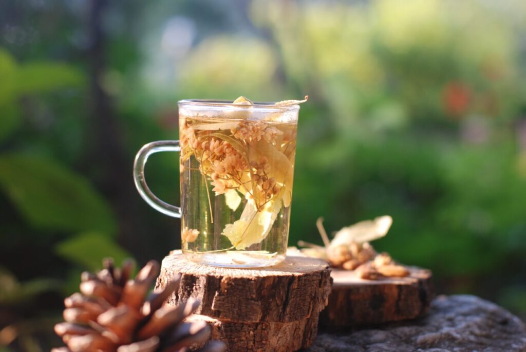Herbal Tea and Intermittent Fasting